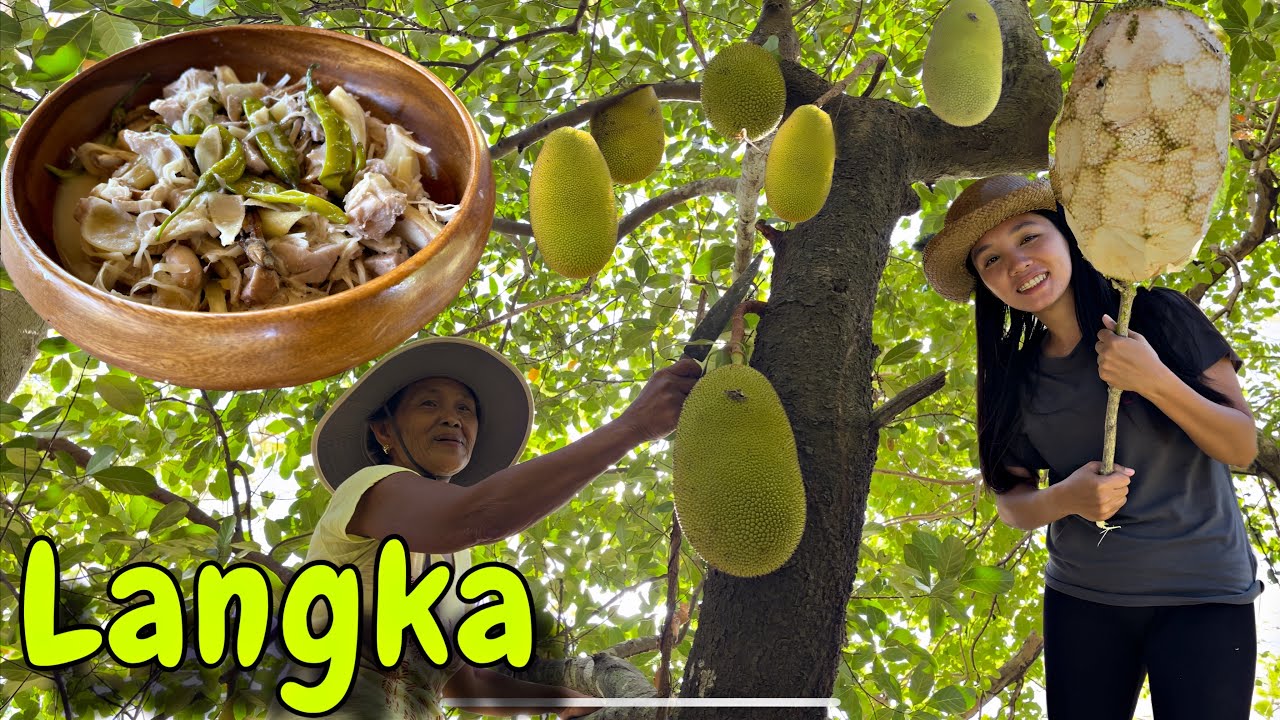 Ginataang langka sa bukid  | Buhay Probinsya