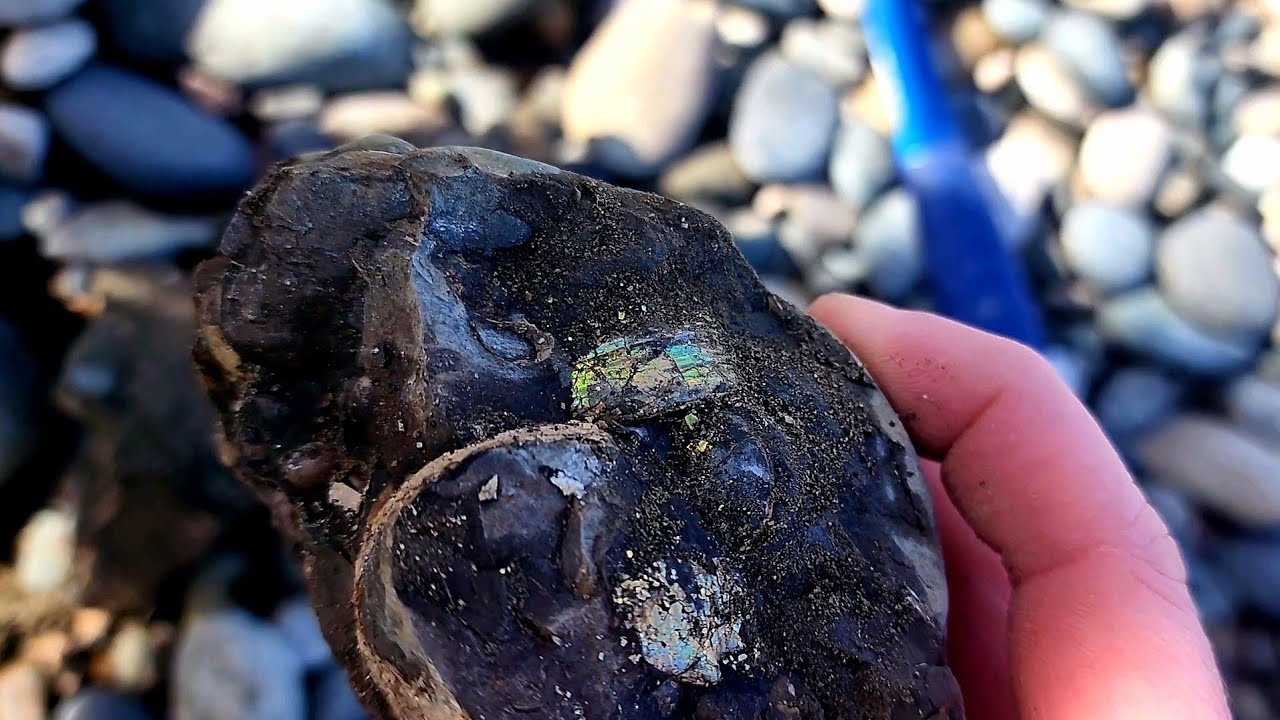 First Spring Rock Hunt | Agates & Ammolite #rockhounding
