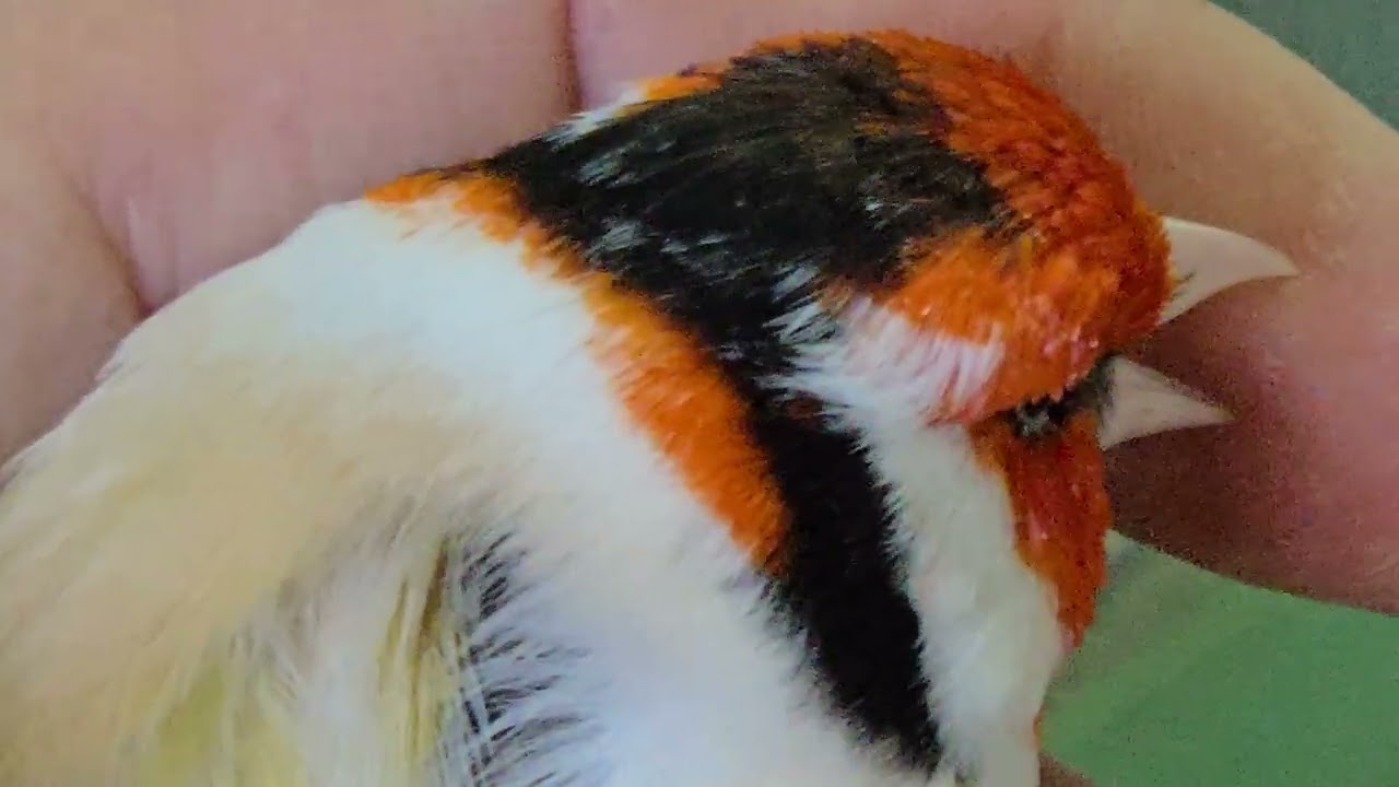 24 Φεβρουαρίου 2026