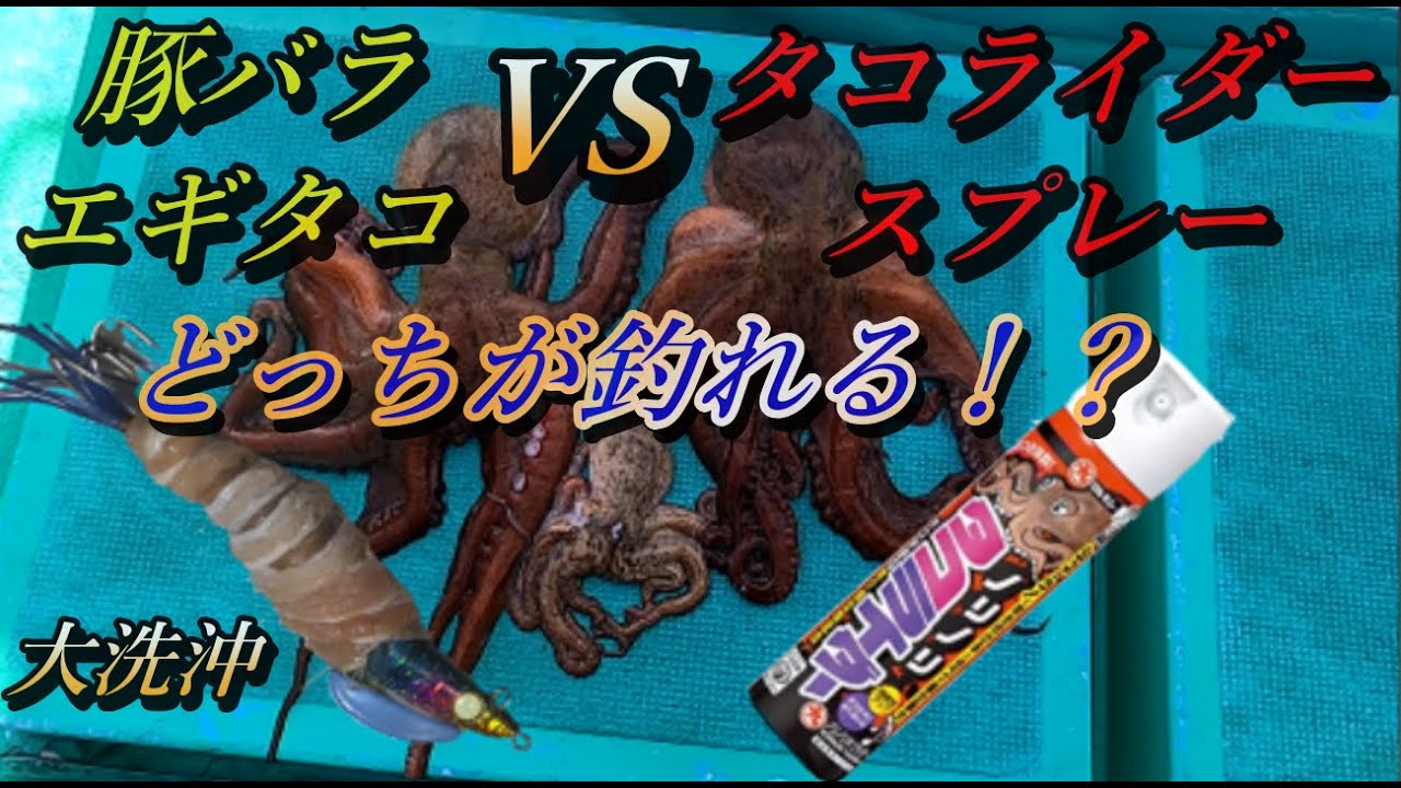 【タコ釣り】豚バラを巻いたエギタコVSタコライダースプレーをかけたエギタコはどちらが釣れるのか！？タコ船釣りで大洗沖の栄光丸さんに乗って検証します！