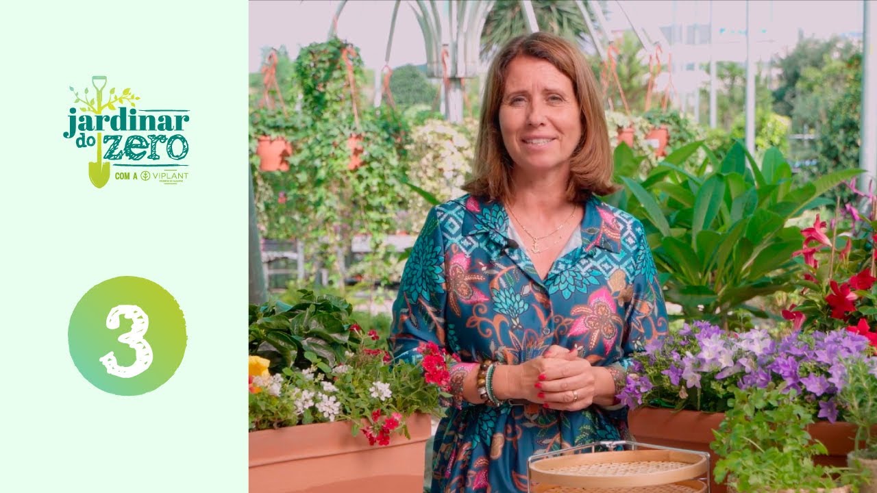 Plantas para Zonas de Sol e Sombra: Jardinar do Zero #3