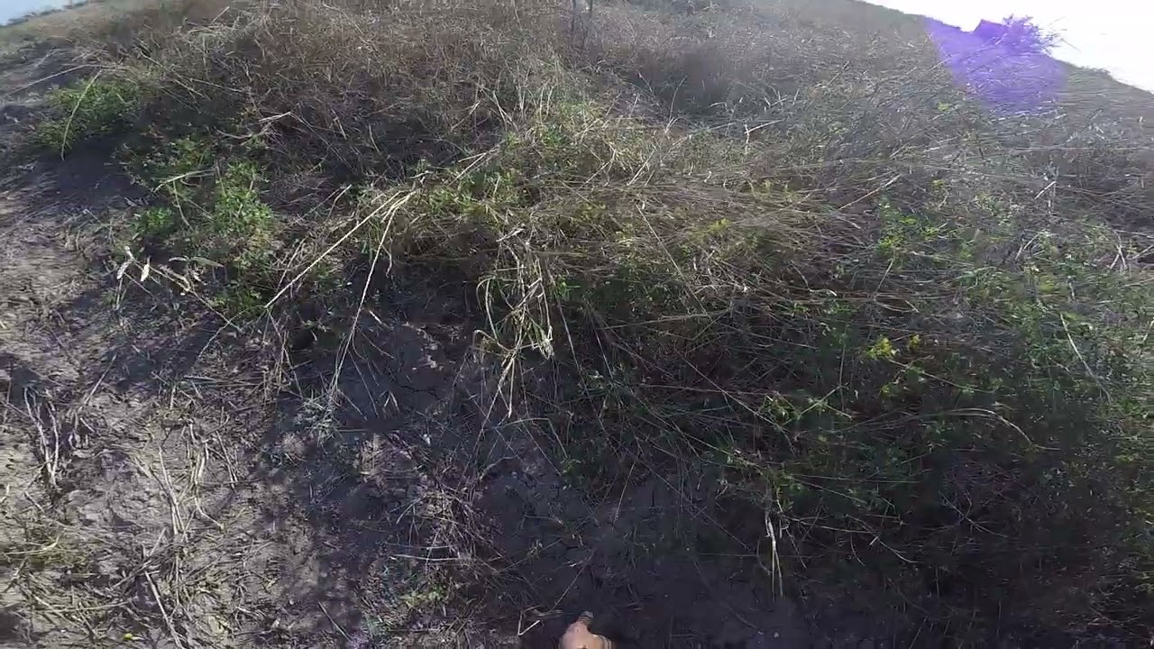 Little clip from public dove hunting 1/7/26