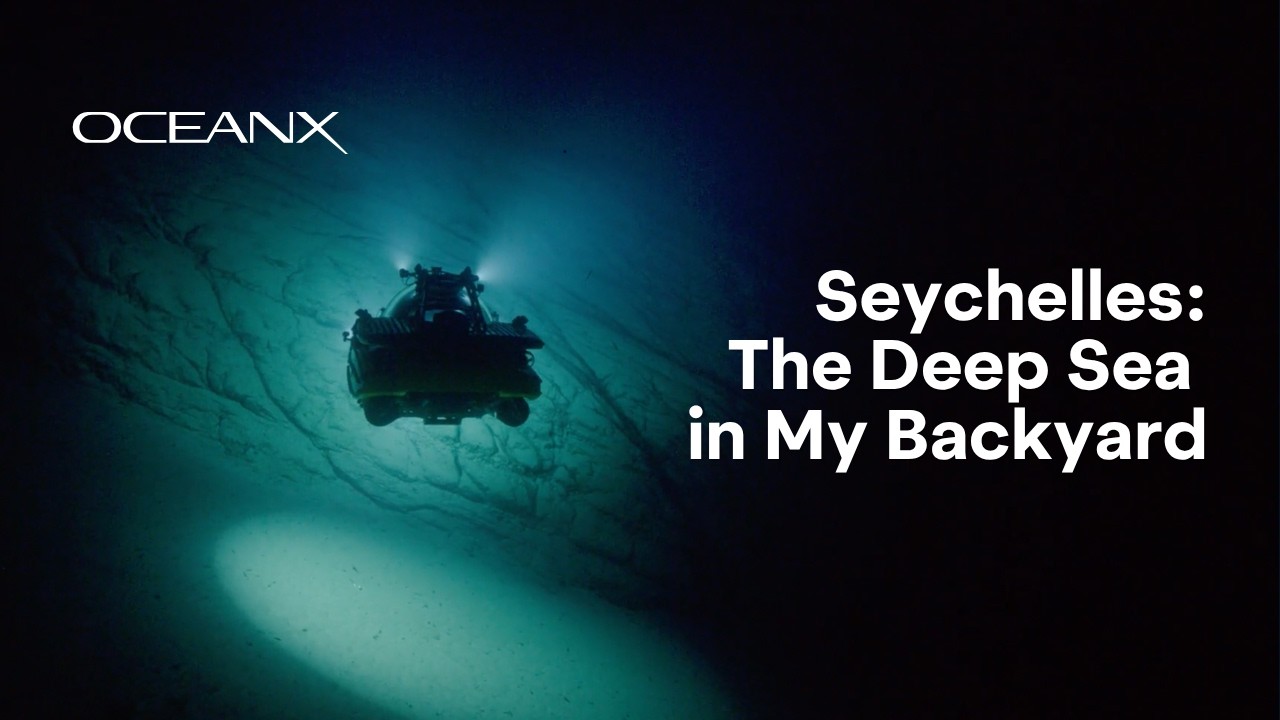 Seychelles: The Deep Sea in My Backyard