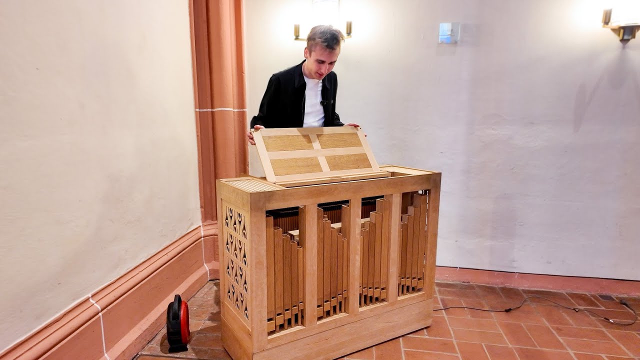 We found the smallest organ..!