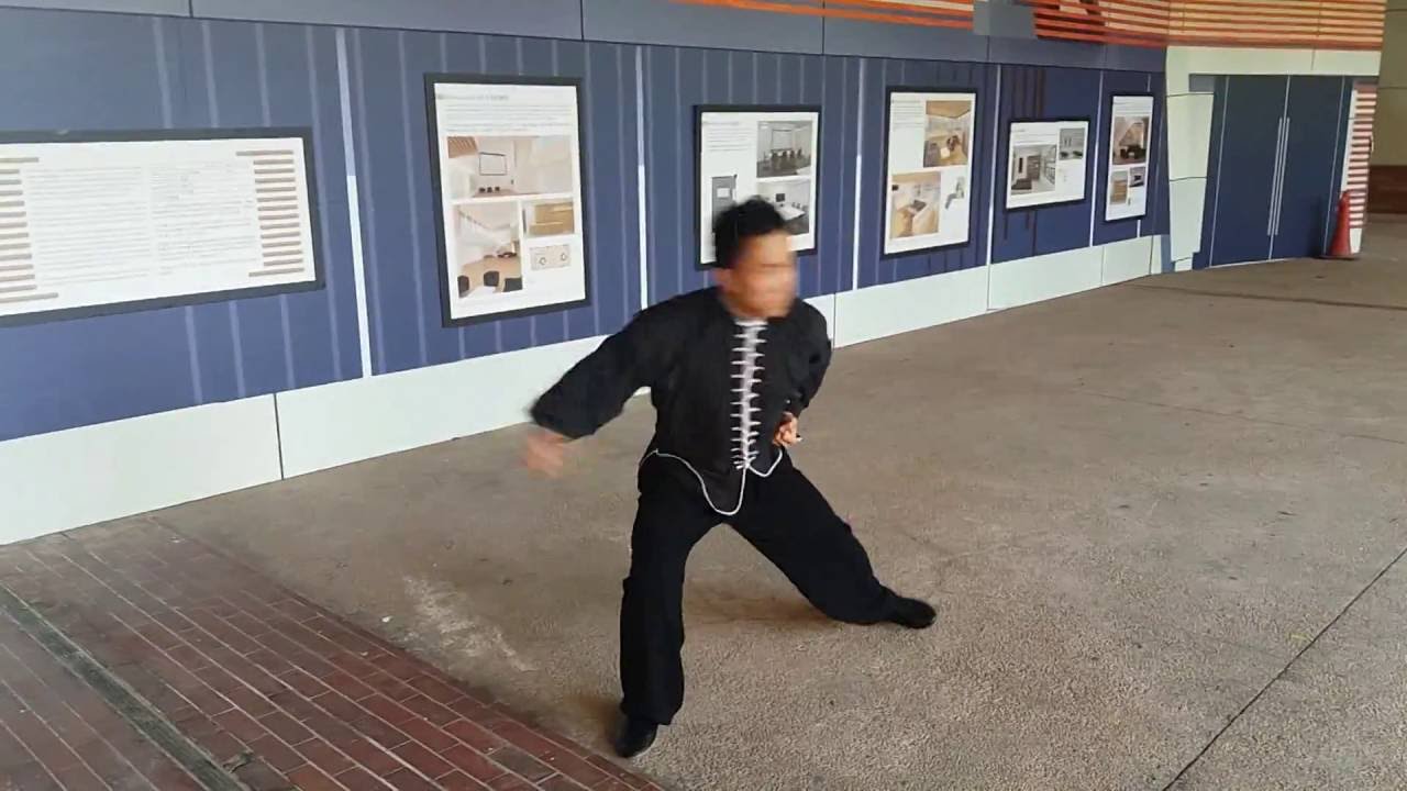 NORTHERN SHAOLIN 第六路短打少林拳