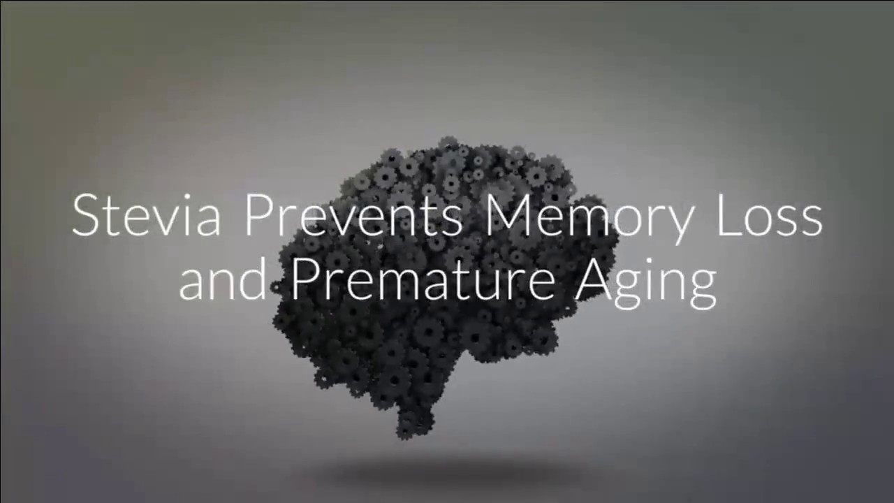 Where to buy Stevia Extract Powder in Chicago IL 60601