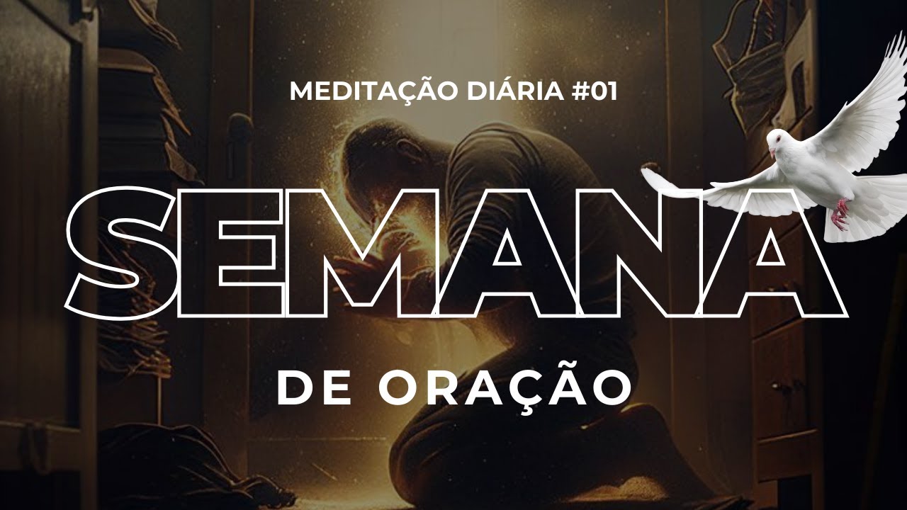 Meditação Diária #1