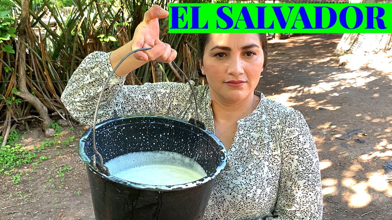 Como ordeñar una vaca