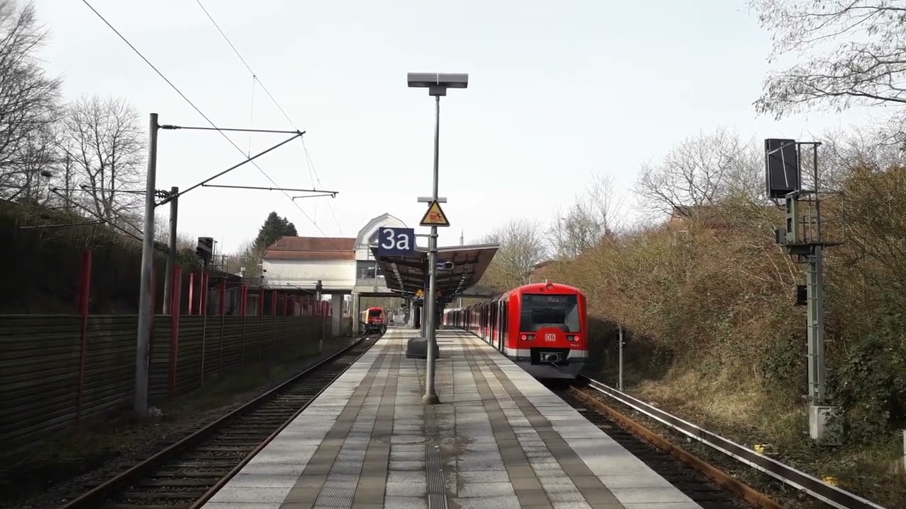 Wentorfer Lohe 06 - Ziel S-Aum&uuml;hle
