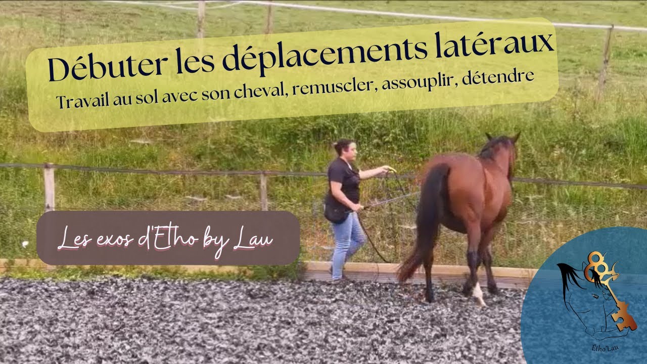 Débuter les déplacements latéraux en travail au sol avec son cheval