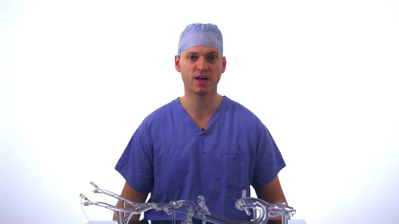 ArterioSim - 3D Printed Endovascular Simulator