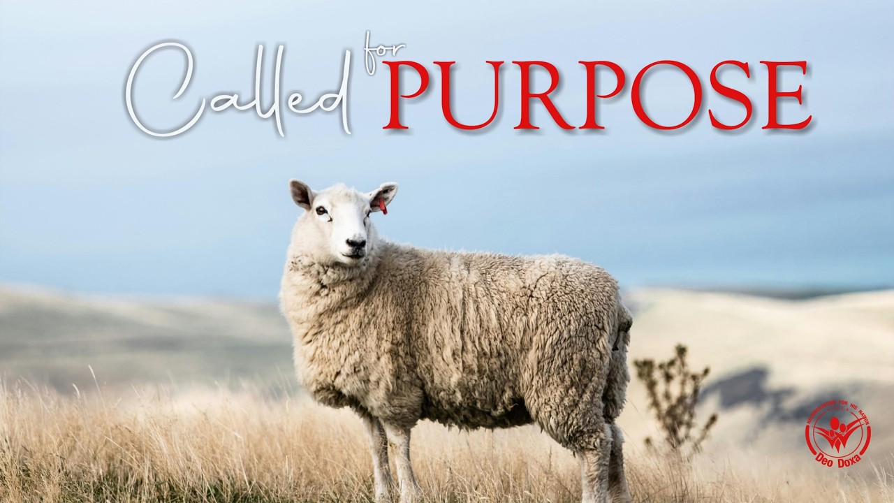 Called for Purpose | Hanno Botes