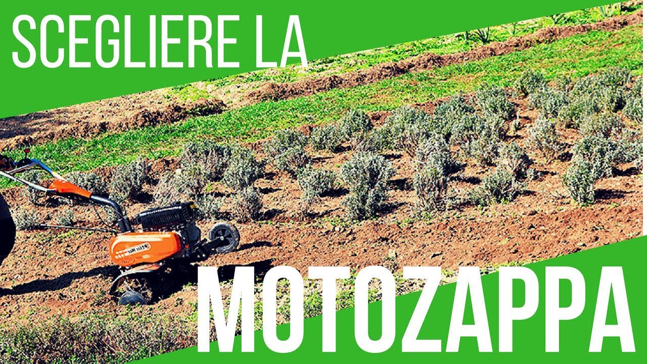 MOTOZAPPA: COME SCEGLIERLA, COSA GUARDARE, COSA HO SCELTO | OLEOMAC MH 175 | ORTO E GIARDINAGGIO