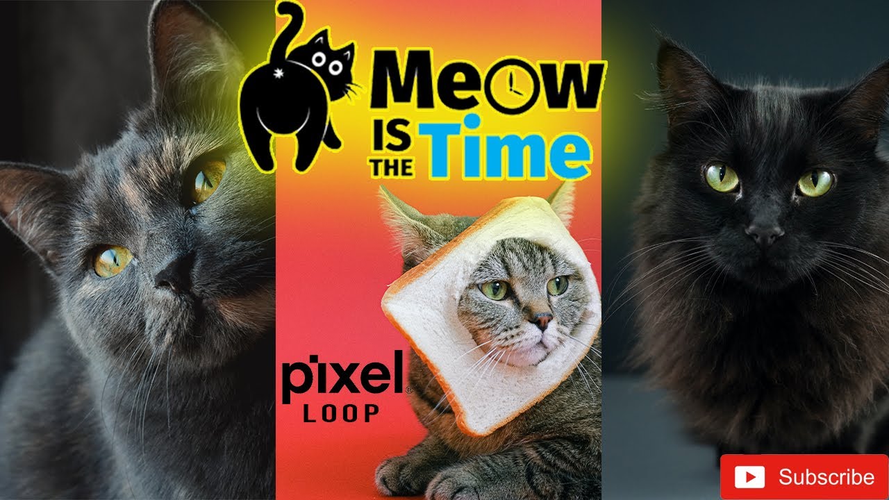 Funny Cats | Pixel loop #01
