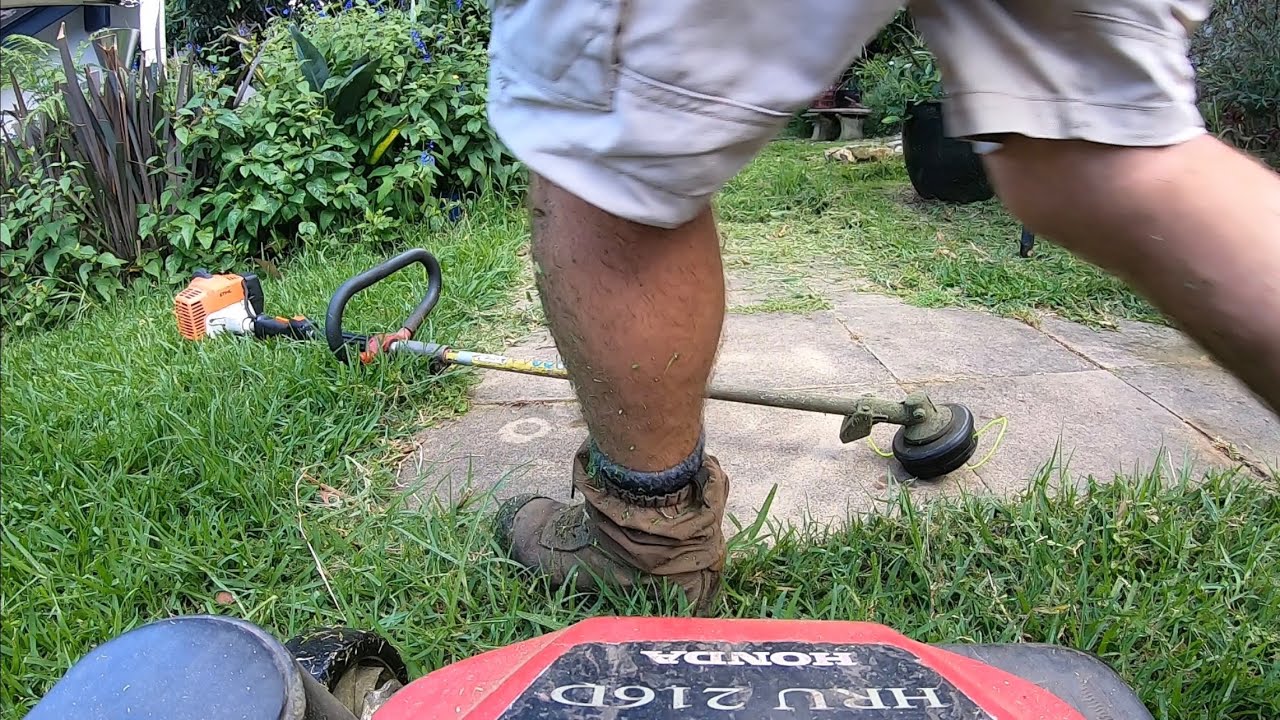 Satisfying Backyard transformation ! Using MY Stihl KM94 Trimmer BG86 Blower Honda 216 Lawn Mower