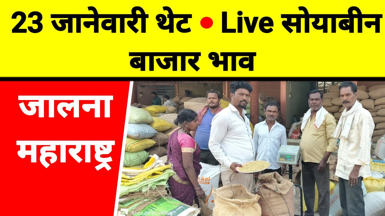 23 जानेवारी थेट Live सोयाबीन बाजार भाव जालना महाराष्ट्र || पीक पाणी
