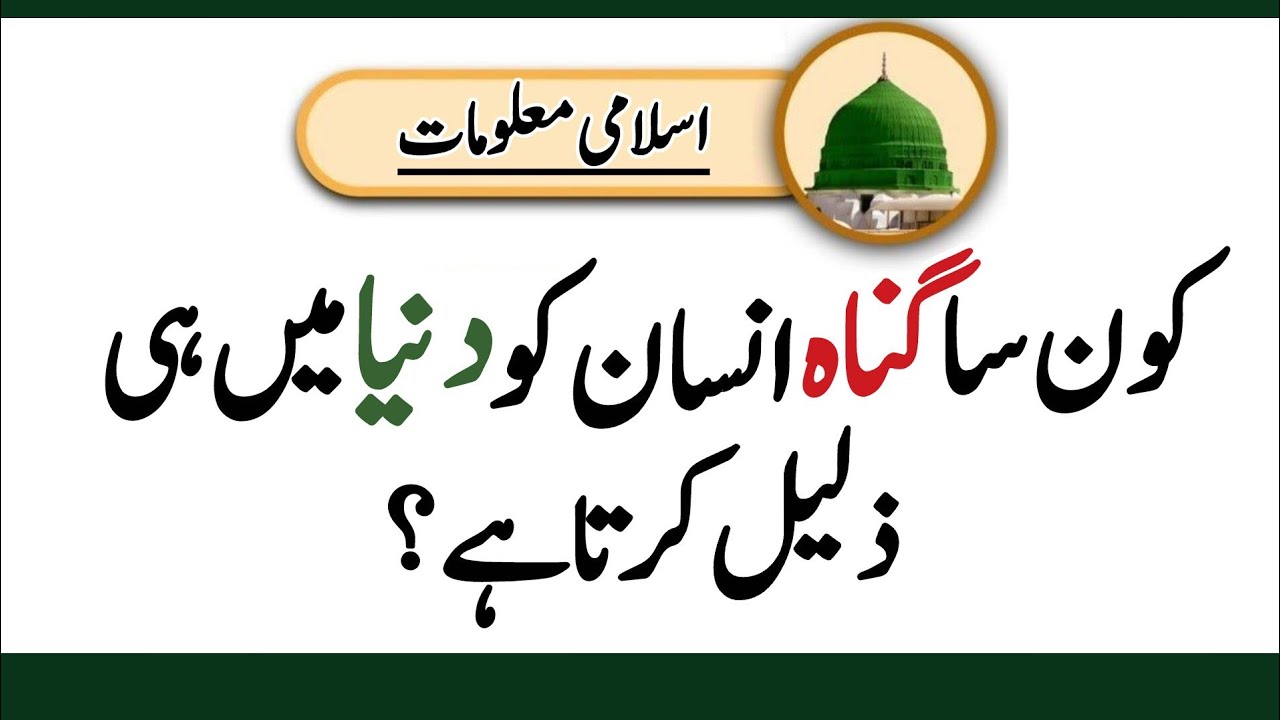 Islamic Question & Answer | Amazing Islamic Facts You Didn’t Know