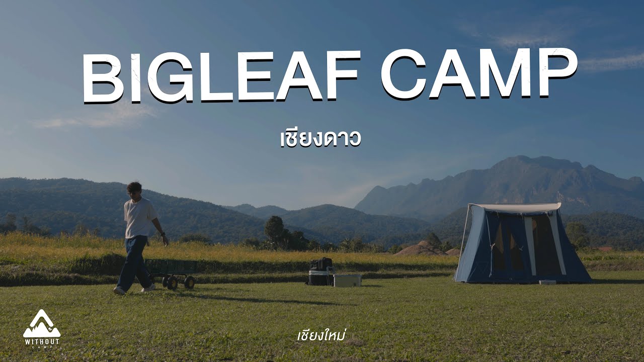 BIGLEAF เชียงดาว | WITHOUT | ลานกางเต็นท์วิวดอยหลวงเชียงดาวที่อลังการมาก | Springbar Admiral Blue