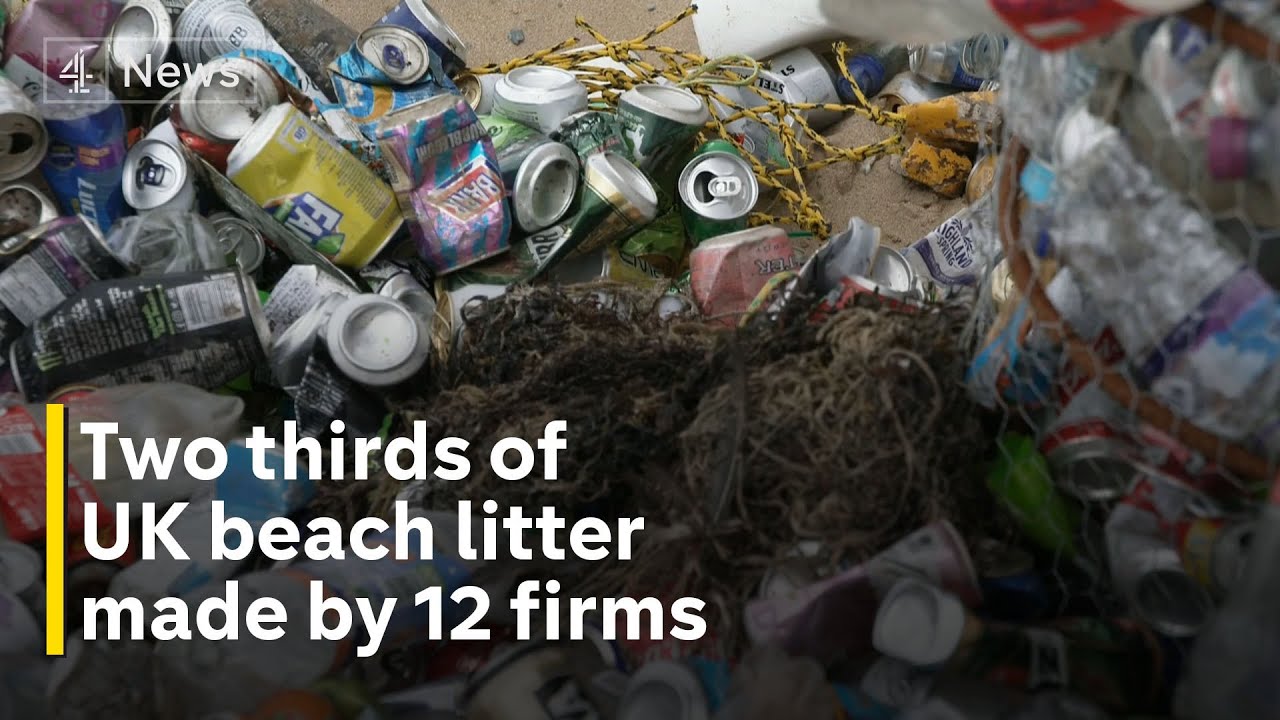 Two-thirds of branded litter on UK beaches made by just 12 firms