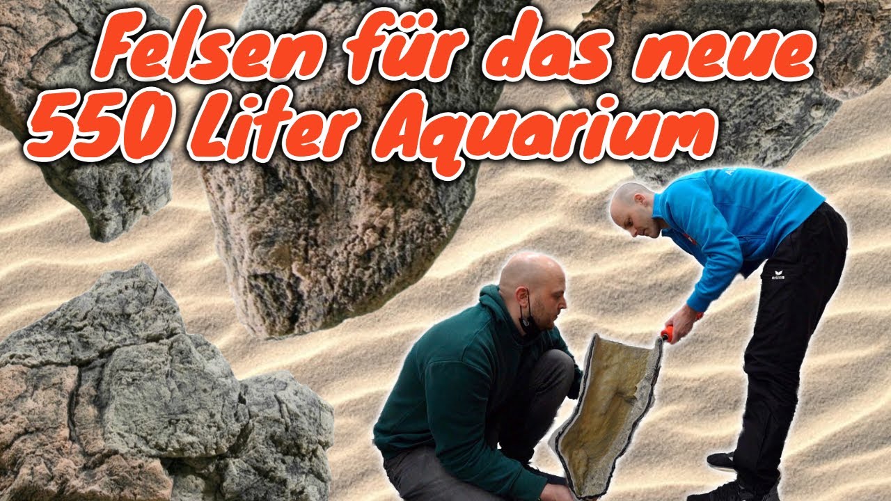 Felsen für das neue 550 Liter Biotop Aquarium | Back to Nature Module einkleben |  ProfiTip