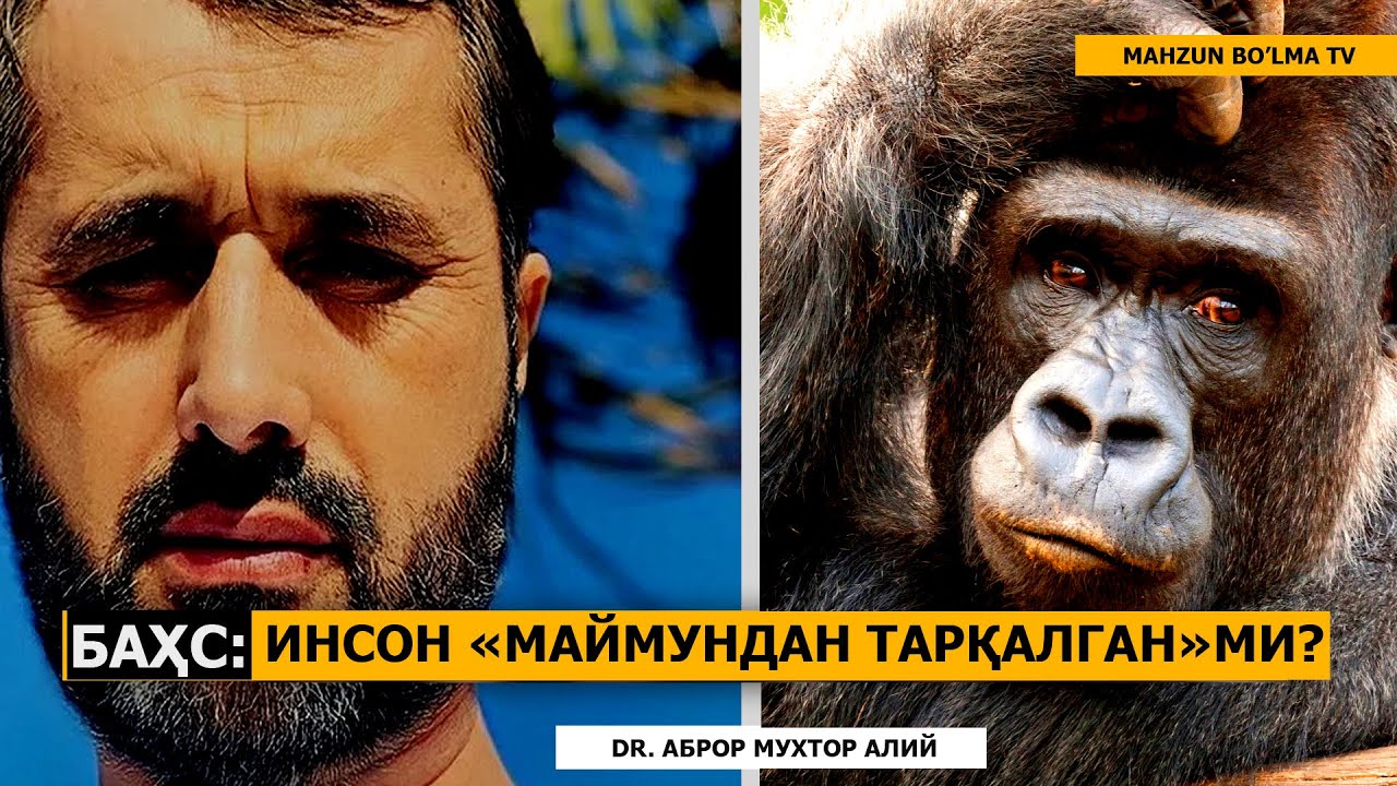 БАҲС: 