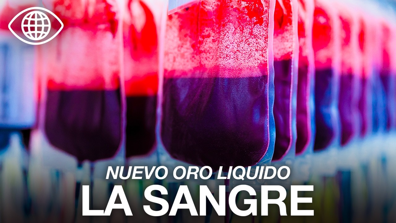 El Negocio de la Sangre: Vidas en riesgo, Millones en juego | Documental - JV
