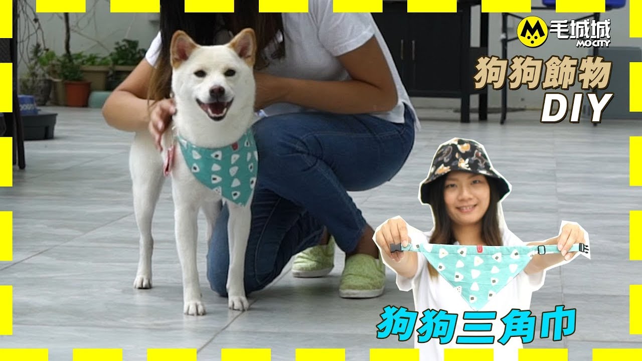 【狗狗飾物DIY】 為狗狗製作獨一無二的飾品！一起動手做三角巾吧
