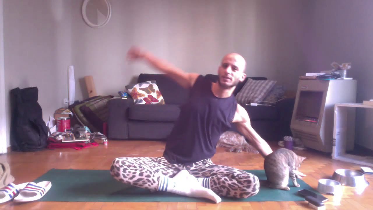 Hatha Vinyasa Yoga (Androulakis Georgious)