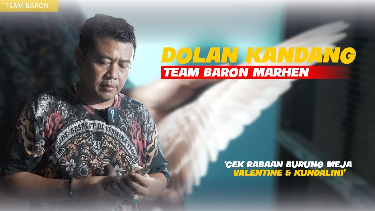 DOLAN KANDANG TEAM BARON MARHEN | CEK RABAAN VALENTINE & KUNDALINI