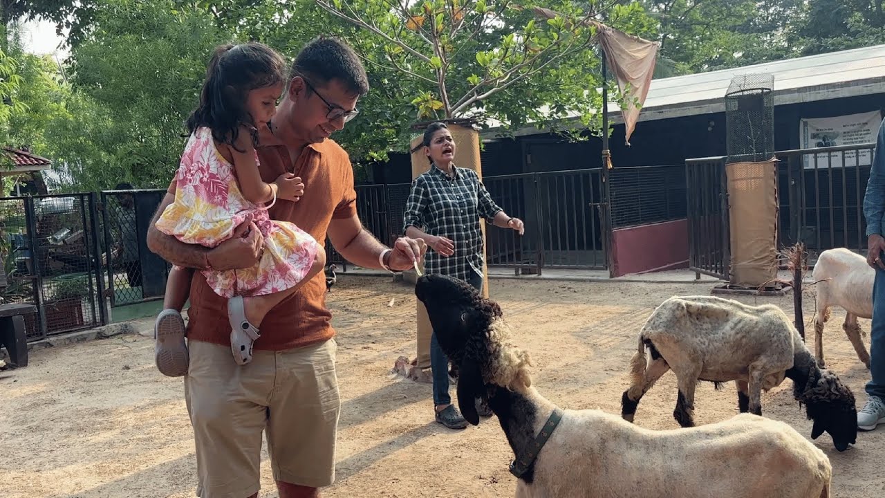 Animal Sanctuary Tour: Where Rescued Animals Find Love & Care