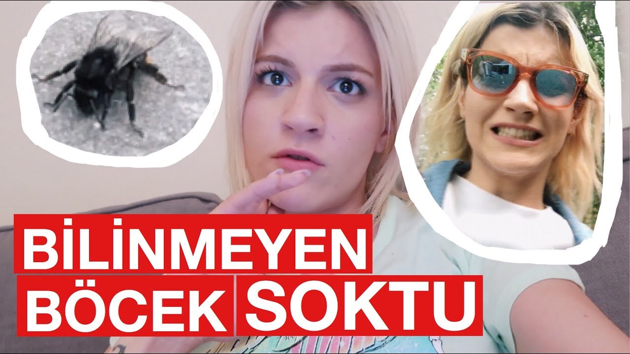 BERLİN'DE BÖCEK SOKTU, ECZACI ŞOKA GİRDİ!