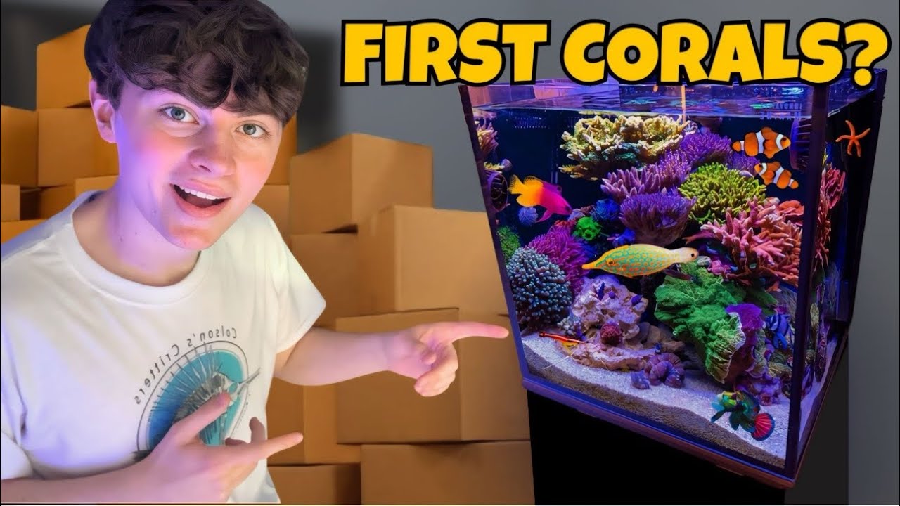 BUYING the FIRST CORALS for My SALTWATER AQUARIUM!! + NEW HOUSE TOUR