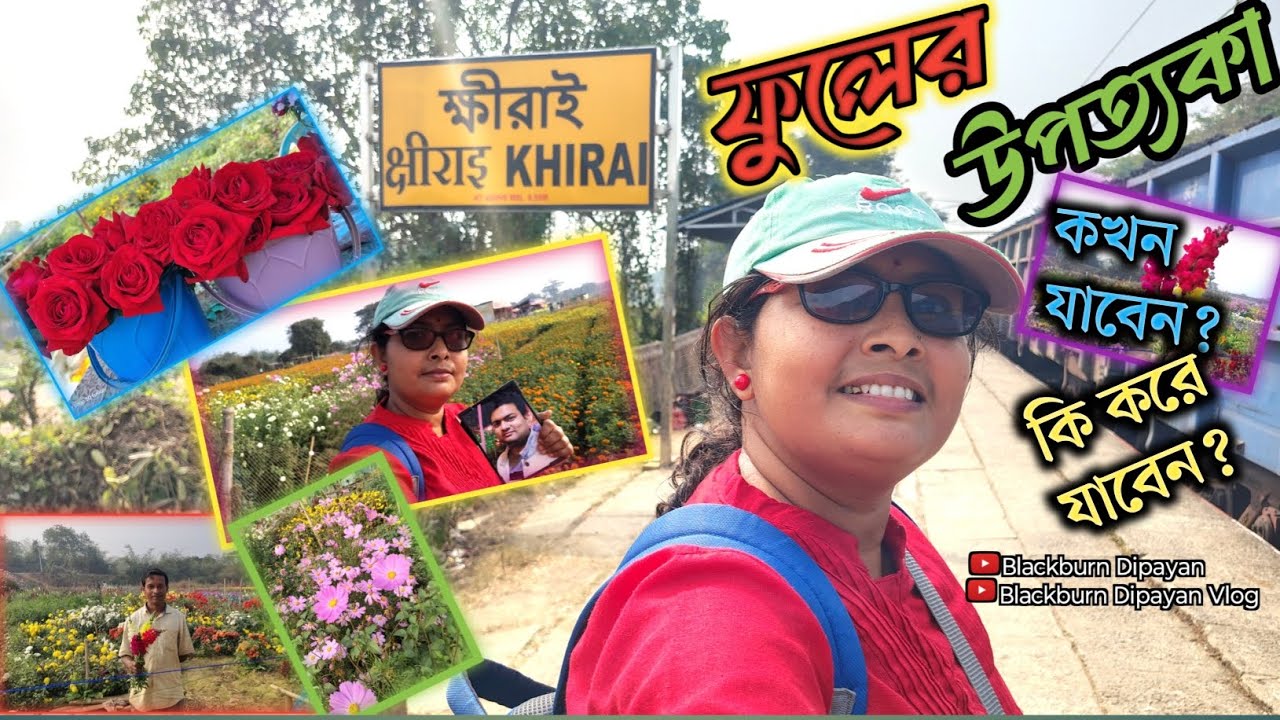 ফুলের উপত্যকা ক্ষীরাই তে কখন যাবেন? কি করে যাবেন? সৌচালয়ের ব্যবস্থা / Flower of Valley Khirai 🌷2026
