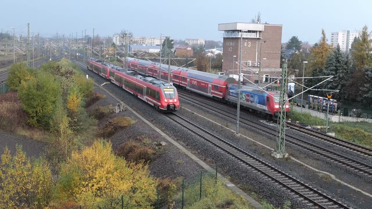 Zugverkehr in Coswig am 11.11.2025 - Ladys in blue & red