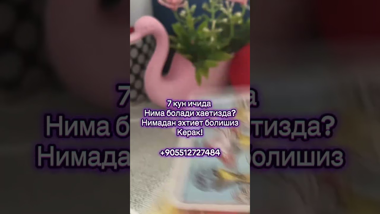 7КУН ИЧИДА ХАЕТИЗДА НИМАЛАР СОДИР БОЛАДИ🔮КАРТА МАСЛАХАТИ🍃