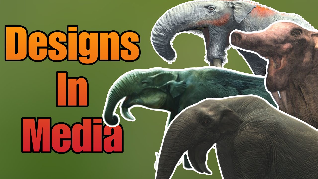 The MANY Interpretations of Deinotherium