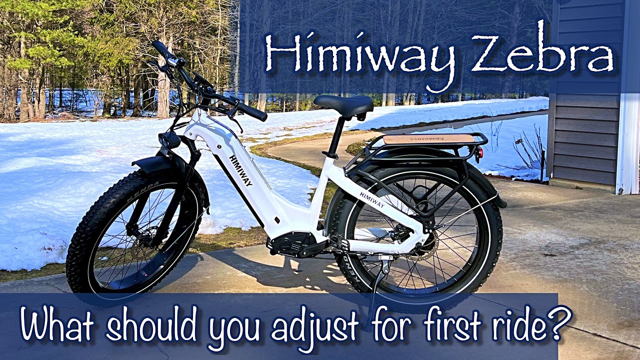 Himiway Zebra Basic Adjustments - Tinkering Turtle