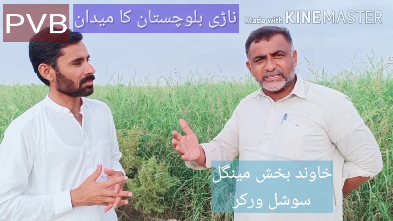 Balochistan District Kachi plans waiting for Small dams