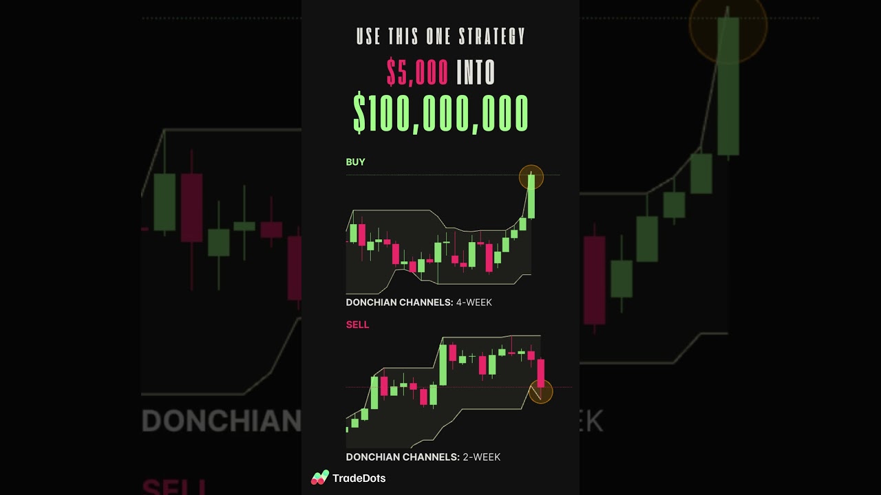 The Strategy That Transformed $5,000 into $100 Million: Turtle Experiment | TradeDots