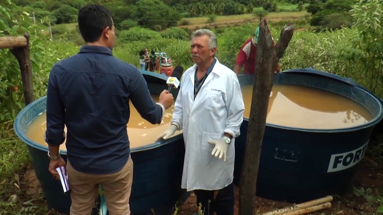 #Sertão #VídeoEmAlta    PROJETO TRANSFORMA ÁGUA DE BARREIRO EM ÁGUA LIMPA