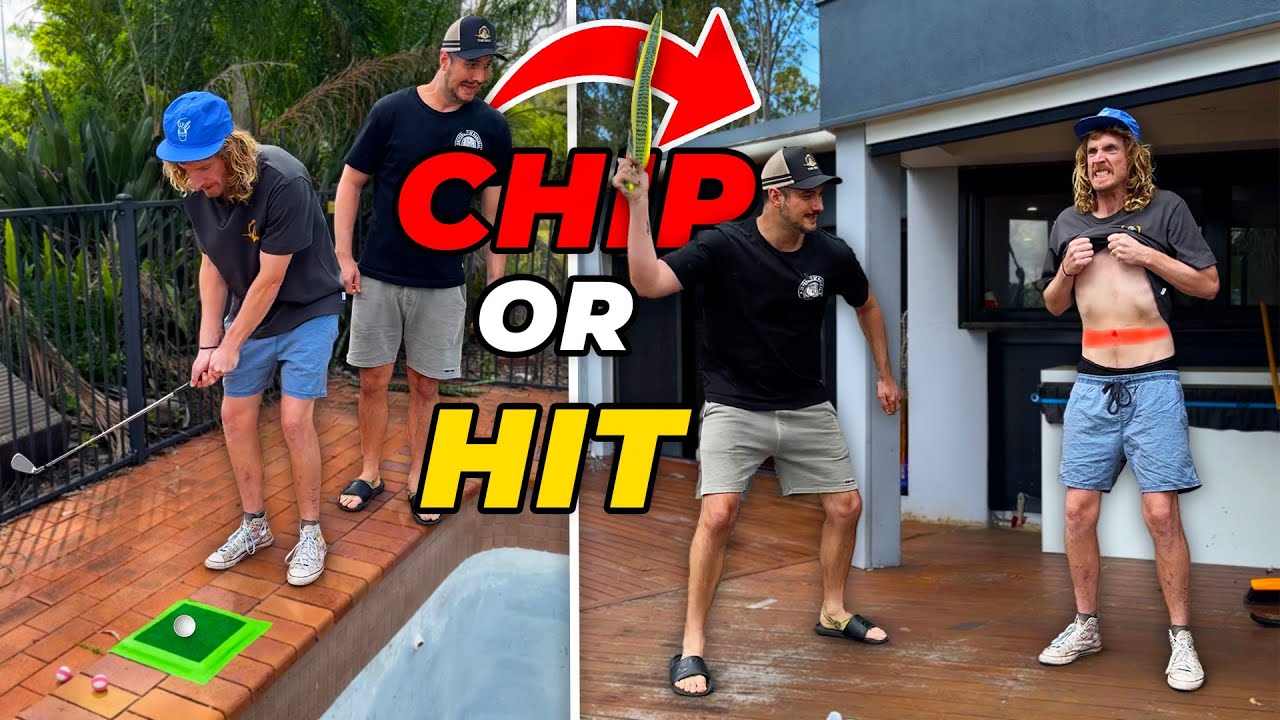 Chip or Hit Snake Plant Edition