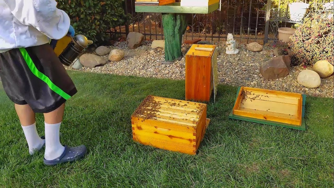 I DROPPED MY BEEHIVE!!!