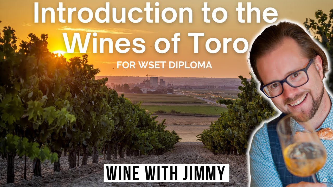 The History, Climate and Grapegrowing of the Wines of Toro, Spain for WSET Level 4 (Diploma)
