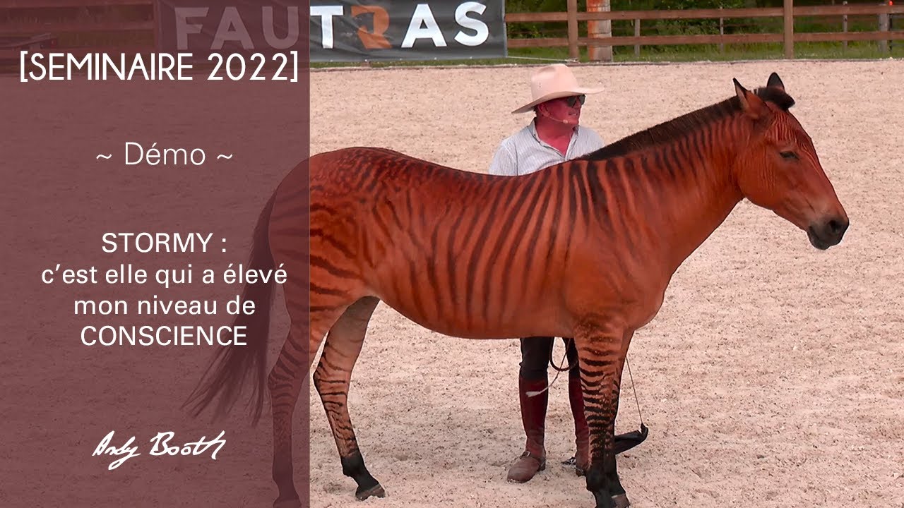 [SEMINAIRE 2022] Stormy, c'est elle qui a élevé mon niveau de conscience !