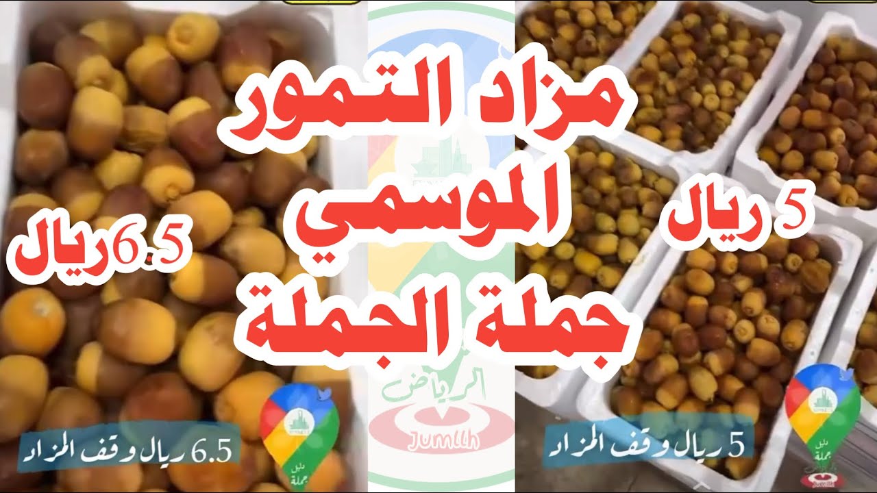 الجزء 5 من تغطيات سوق عتيقه📍‏تغطيتنا اليوم مميزة في مزاد التمور الموسمي 😍‏ الأسعار جملة الجملة 🚨