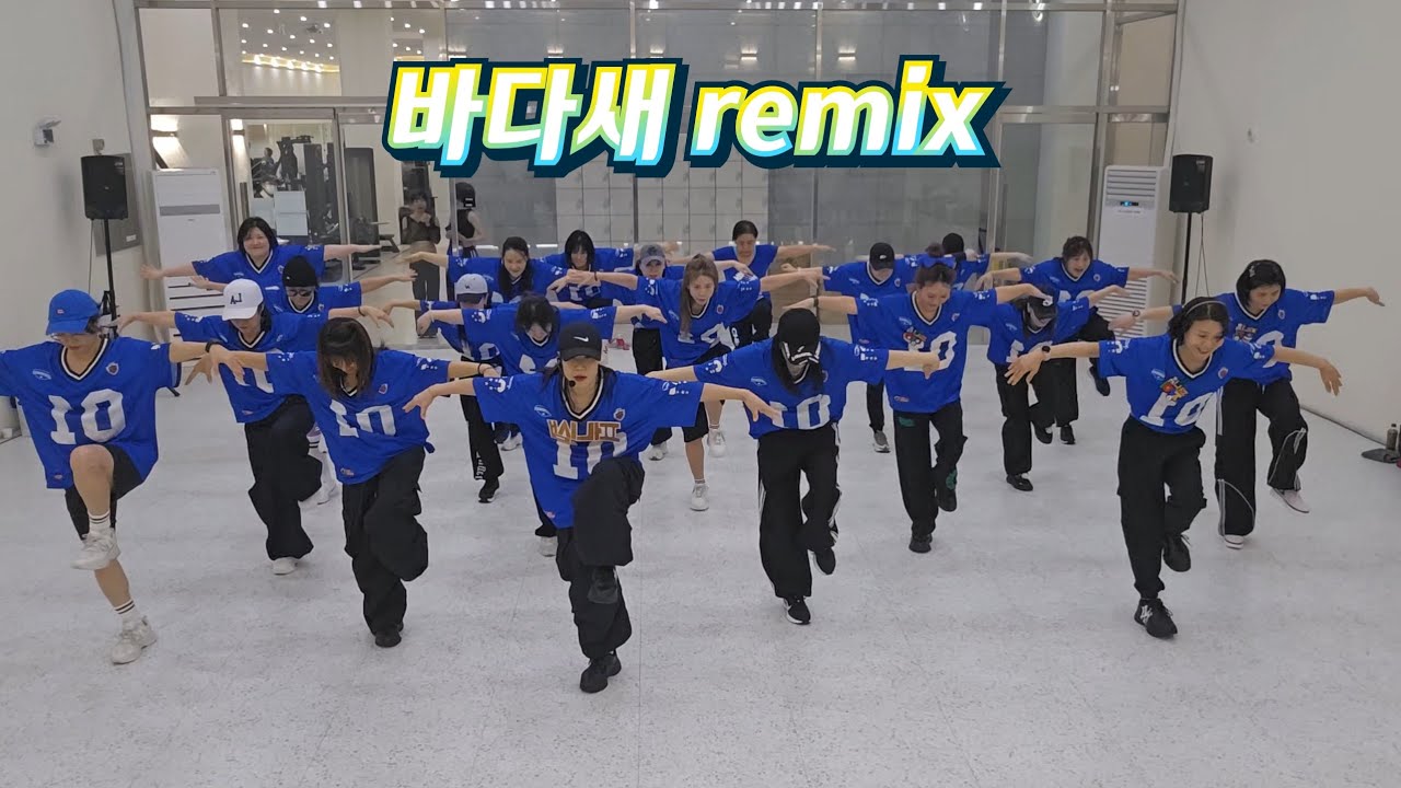 바다새 remix 