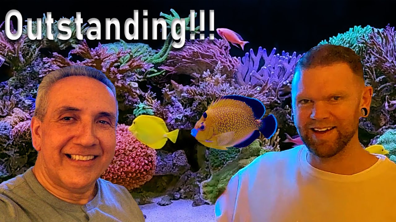 VargasReef Chronicles: Experience Dan Thomas Reef Tank Tour!