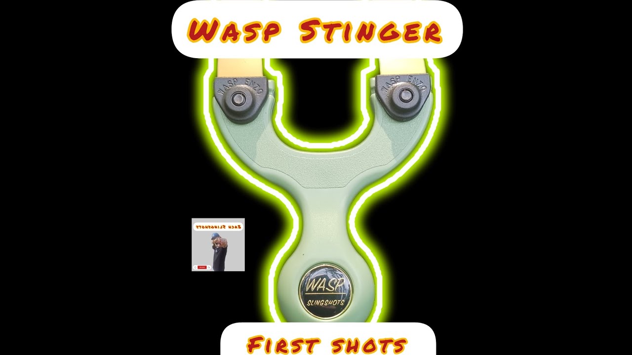 First shots and thoughts with the wasp stinger