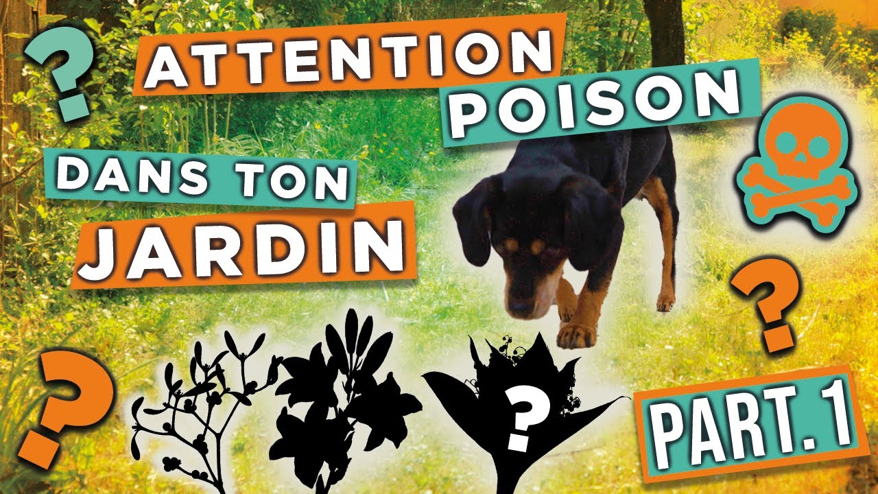 POISON du CHIEN dans le JARDIN - Part 1