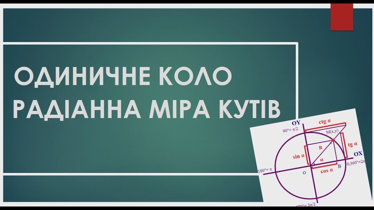 Одиничне коло [Радіанна міра кутів]